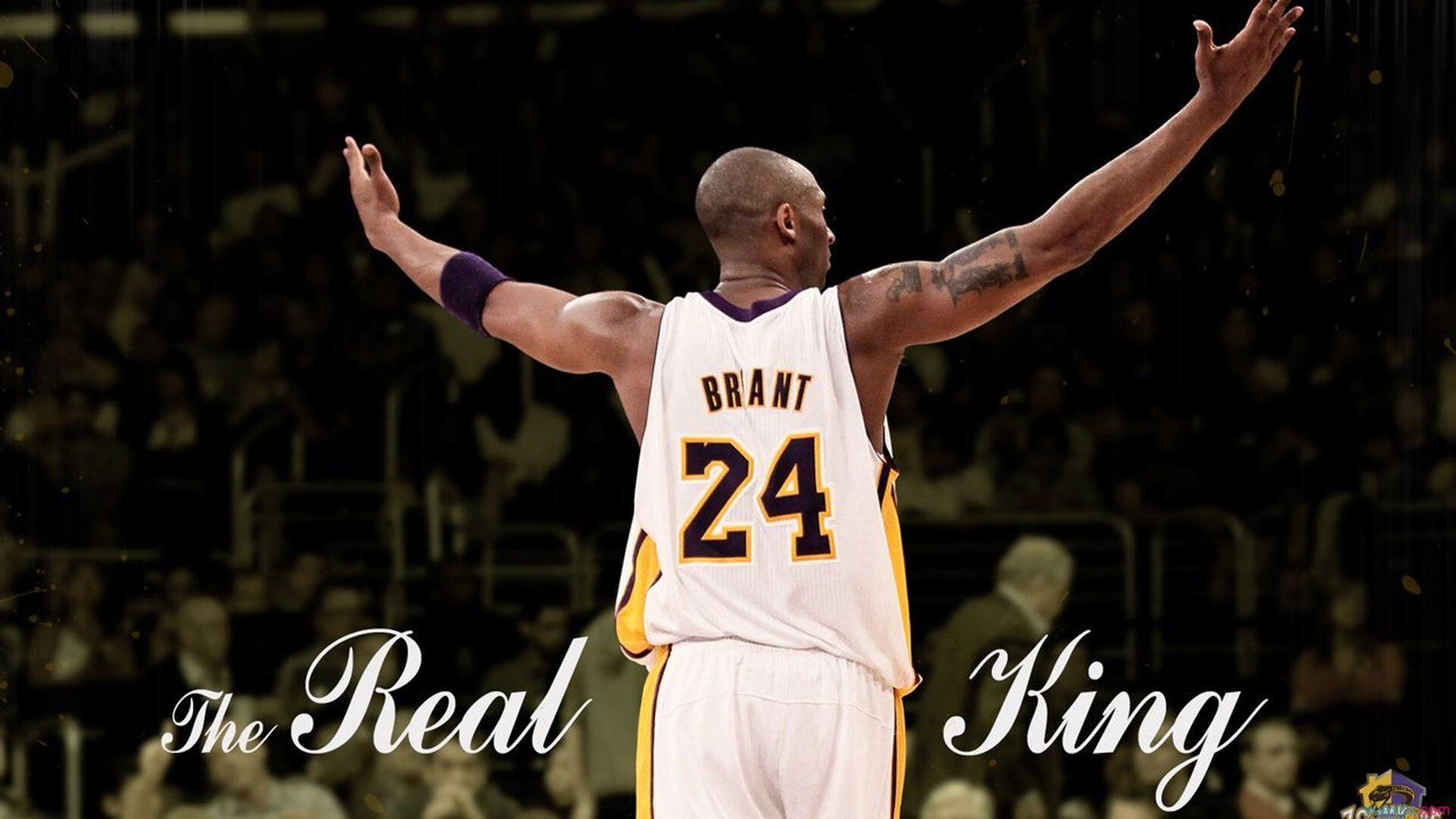 篮球专项技能视频教学资源开发应用,篮球技术教程