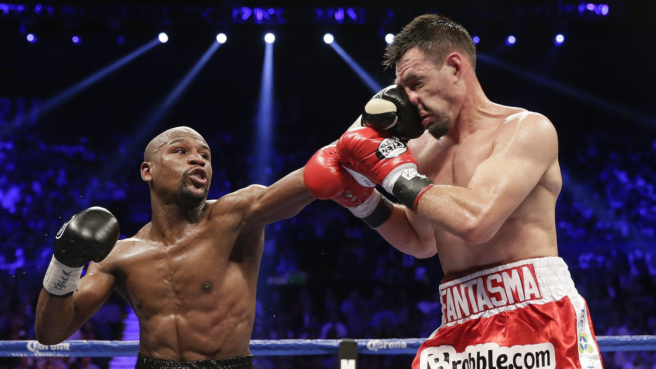 校园体育场馆智能调度方案设计与应用研究,体育场馆智能化系统包含哪些